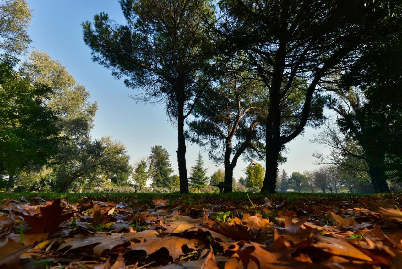 Villa Carrer 포르토 비로 외부 사진